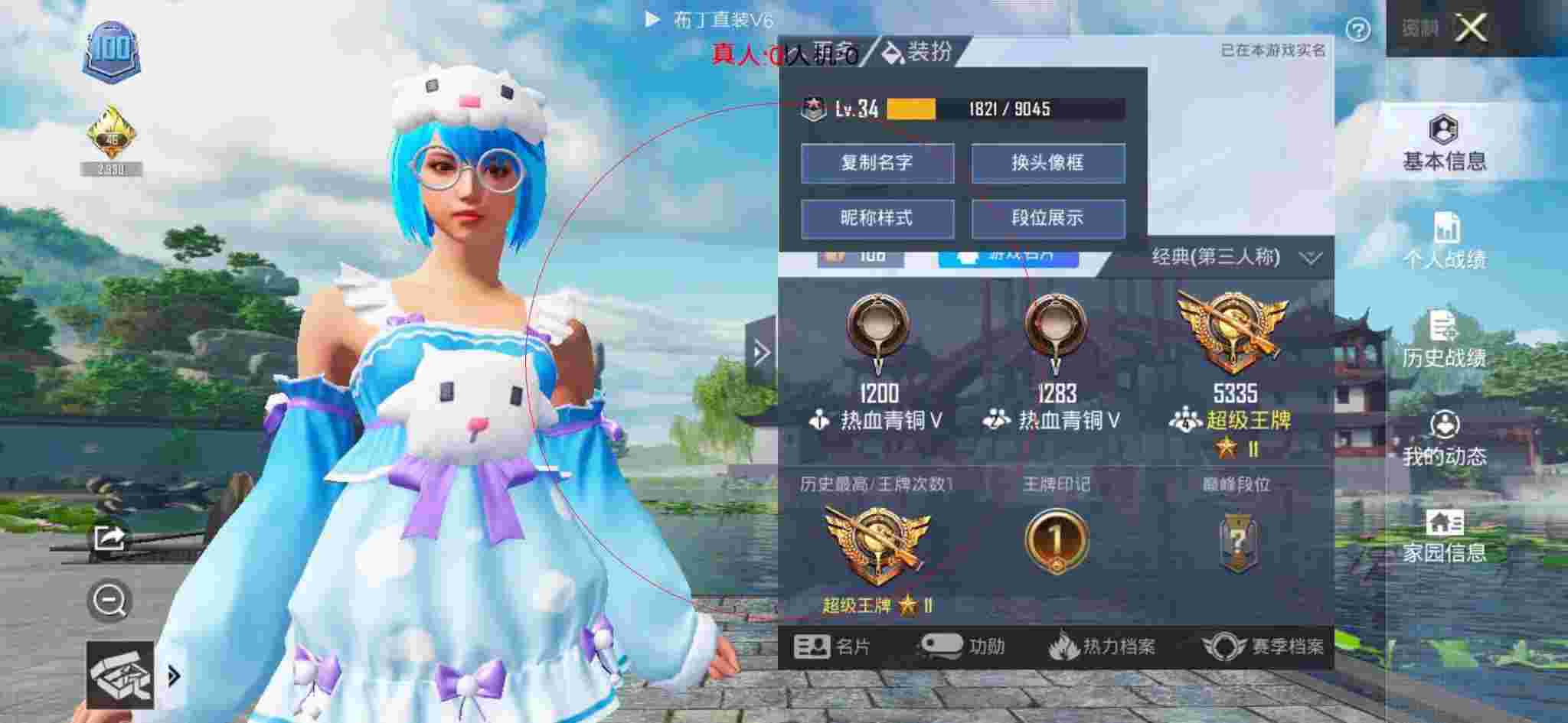 和平精英布丁直装透视 - 和平精英透视效果图辅助预览图